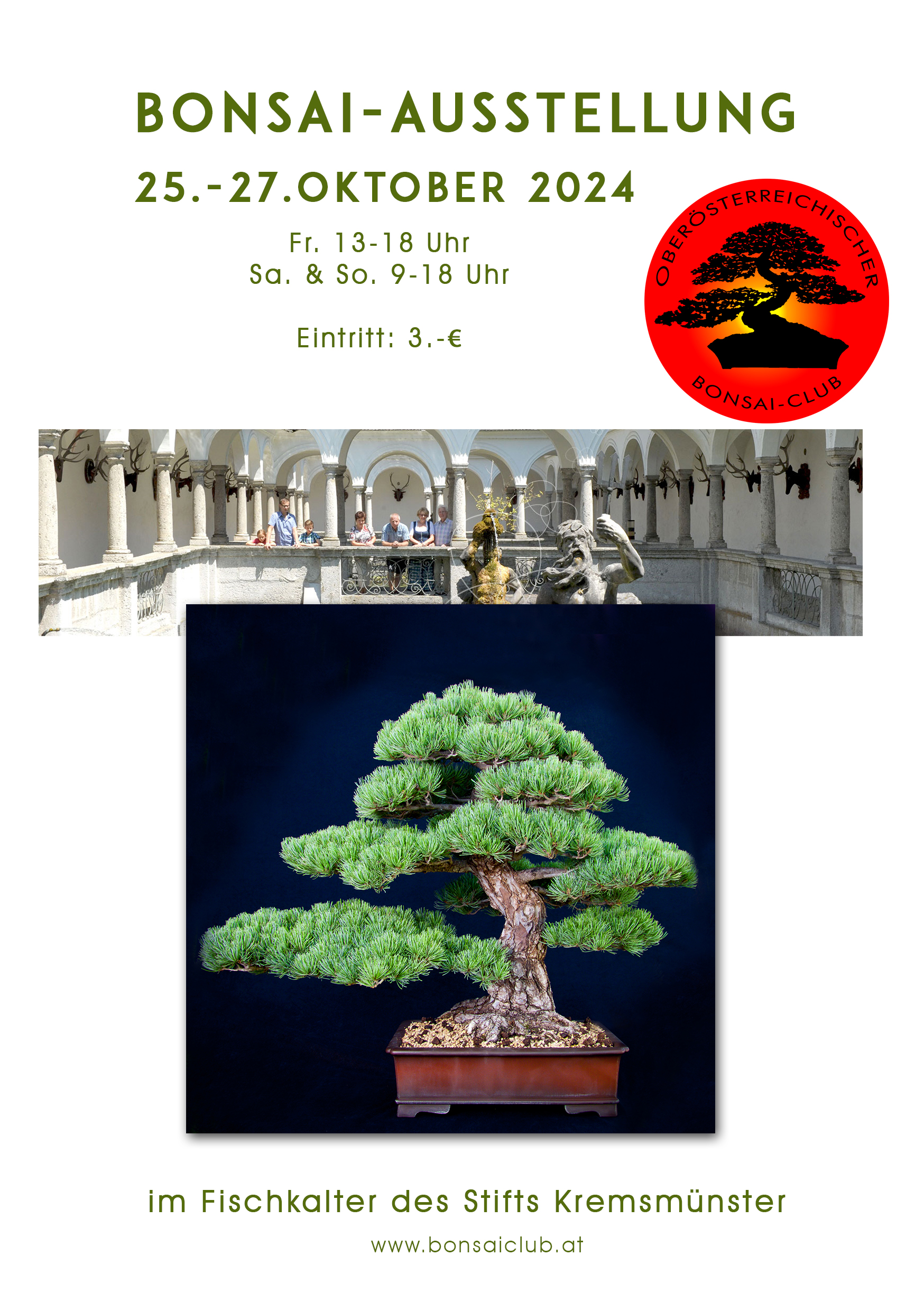 Bonsai Ausstellung 2024 oö bonsaiclub