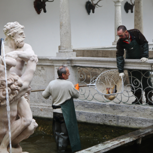 stift_kremsmuenster_fischkalter_karpfen2