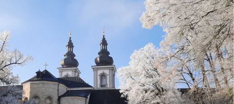 Zwei Kirchturmspitzen, blauer Himmer, winterliche Bäume